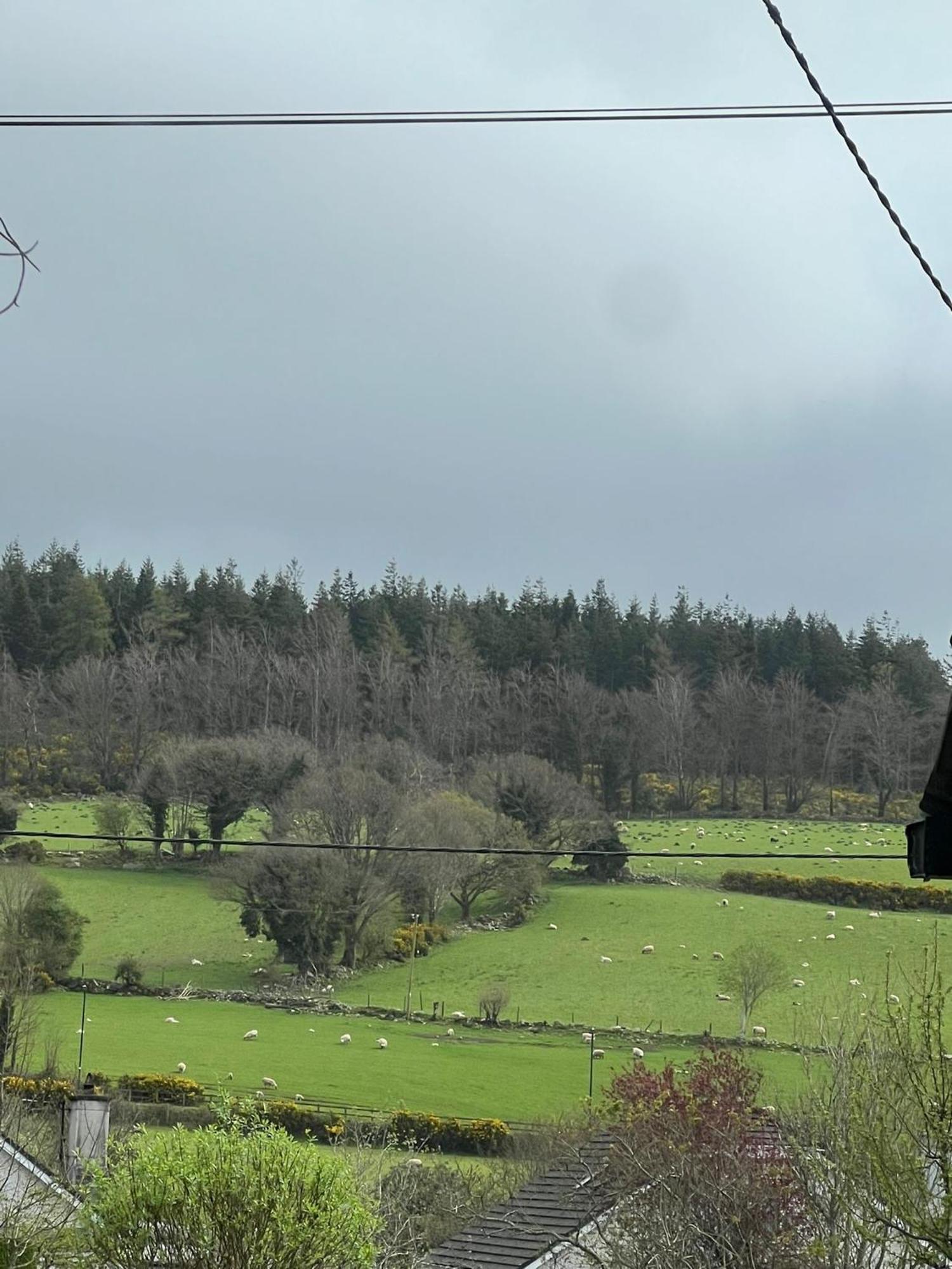Avonbeg Cottages 2 Bed 1 Bath Accommodate 3 Guests Rathdrum Exterior foto